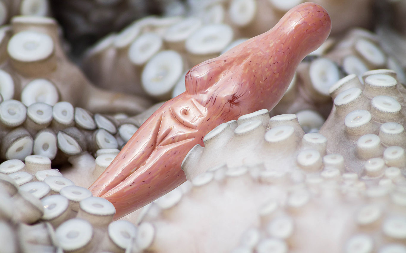 Billede og skulptur (Call Me Venus, Venus III) - Ceylan Öztrük